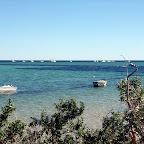 Shark Bay et Monkey Mia