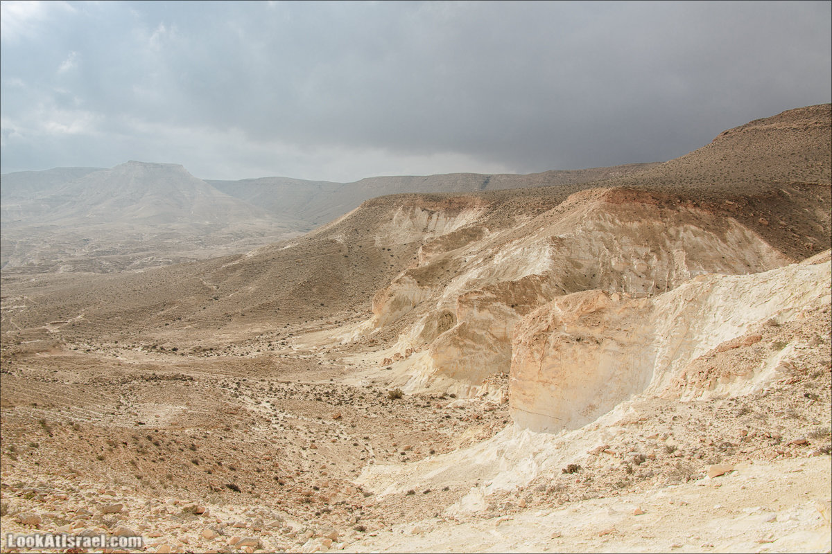 Негев - пустыня где нет пустоты
