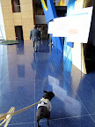 Wow, this lobby is very impressive - I just love the sapphire-blue flooring.