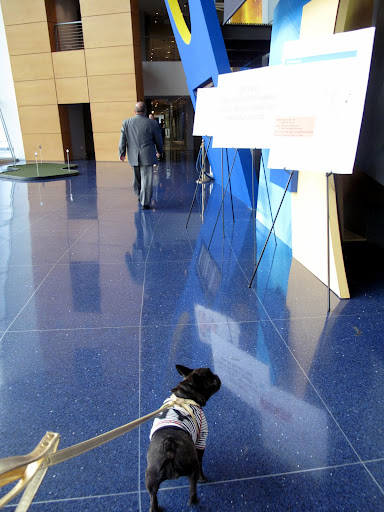 Wow, this lobby is very impressive - I just love the sapphire-blue flooring.