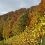 [20111030] Autumn in Baden