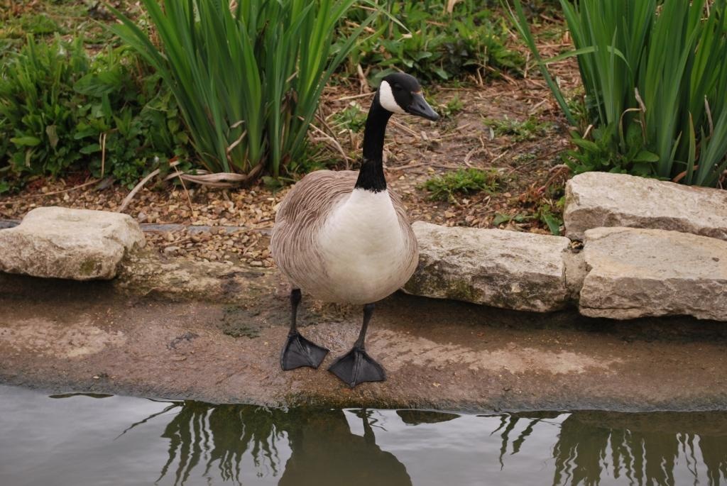 [DSC_0803%255B7%255D.jpg]