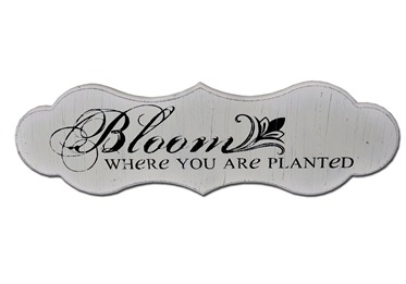 Bloom Where you are Planted Bloom Where you are Planted