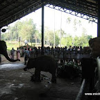 l038.jpg