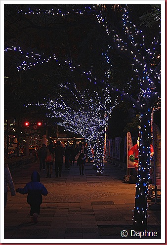 IMG_1601 IMG_1601