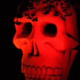 Dublin Haunted Forest