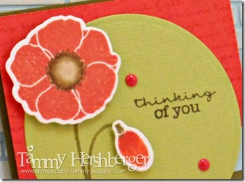 Color Throwdown #303 close-up by Tammy Hershberger Color Throwdown #303 close-up by Tammy Hershberger