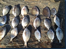 IMG-20120517-WA0009 IMG-20120517-WA0009