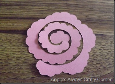 blog roses 011 blog roses 011