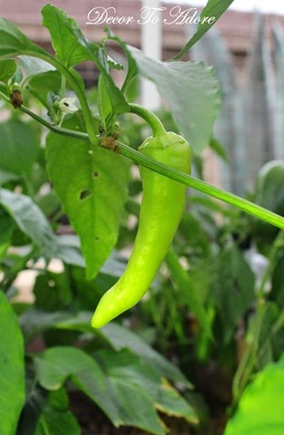 [1-DTA%2520Christmas%2520006%255B4%255D.jpg]