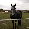 dsc07068.jpg