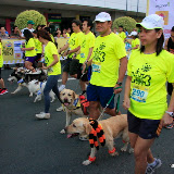Pet Express Doggie Run 2012 Philippines. Jpg (40).JPG