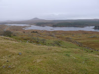 P1000189.JPG Photo