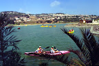 p1245210774(1).jpg