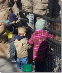 The Zoo, January 2012 009