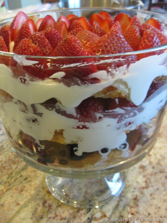 [finished%2520berry%2520trifle%255B7%255D.jpg]