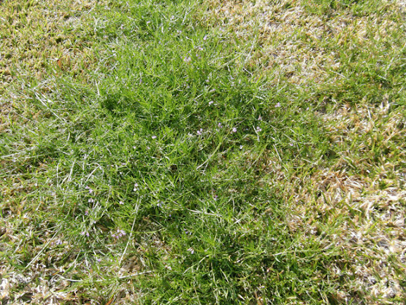 2012_04010030.jpg