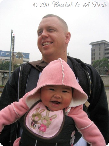 IMG_0895 IMG_0895