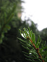 IMG_1290.jpg
