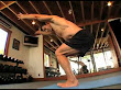 Tony Horton Patience Hummingbird