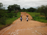South Africa - 082.JPG
