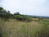 South Africa Day 1 - On Safari