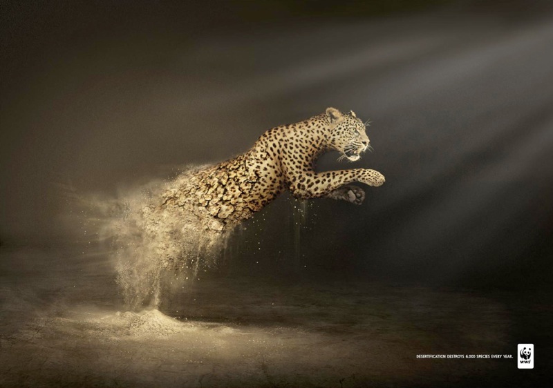 Wwf leopard 0