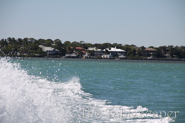 [Florida%2520010%255B3%255D.jpg]