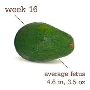[week161.png]