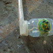 PICT0093.JPG