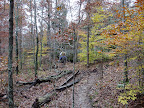 trail 492D