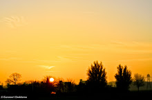 20121117 - BEDUM F1 - WVV F1 - 001.jpg