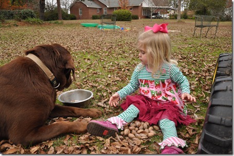 feeding gus pecans 122011 (23) feeding gus pecans 122011 (23)