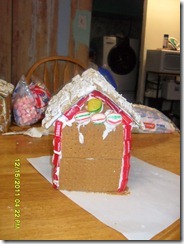 Gingerbread 010