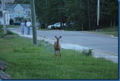 IMG_0969 IMG_0969