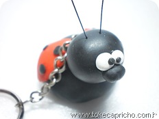 Joaninha Joaninha