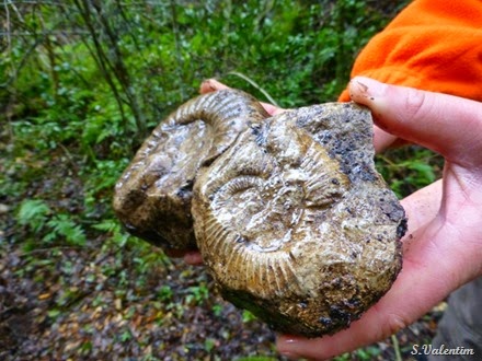 [P1140545%255B3%255D.jpg]