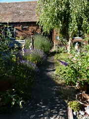 garden june 2011 007