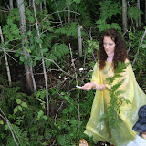 IMG_7229.jpg