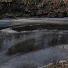 dsc06349.jpg
