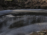 rz. Główna rz. Główna