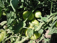 DSCF1165.JPG