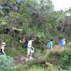 IMG_3227.JPG