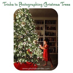 Photographing Your Christmas Tree[5]