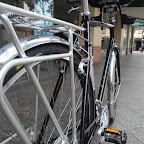 IMAGE_1000000379.JPG
