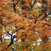 hokkaido_809.jpg