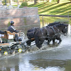 DSCN4862.JPG
