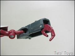 IMG_7448 IMG_7448