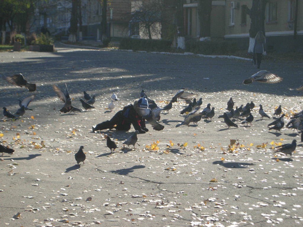[DSCN09814.jpg]