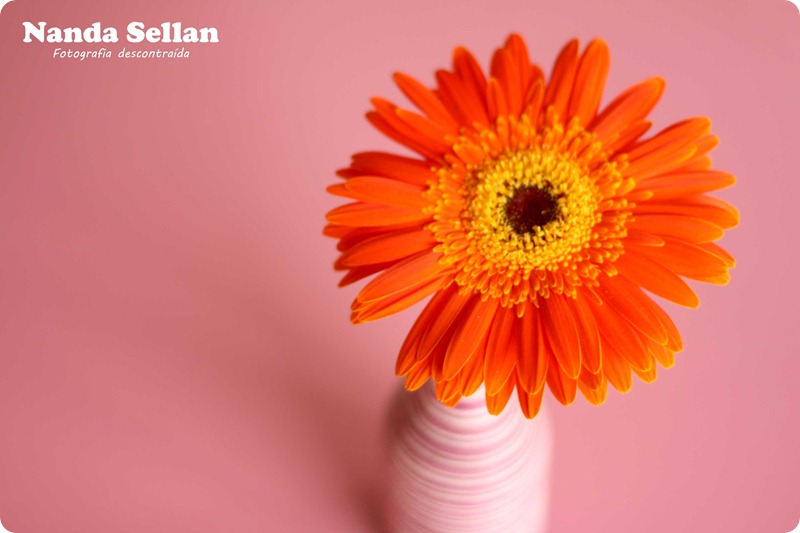 IMG_6877